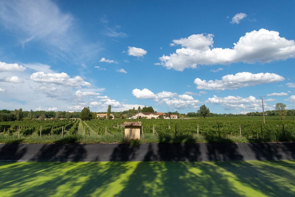 DOMAINE GRAND MAYNE - AGROECOLOGIE DOMAINE GRAND MAYNE - AGROECOLOGIE