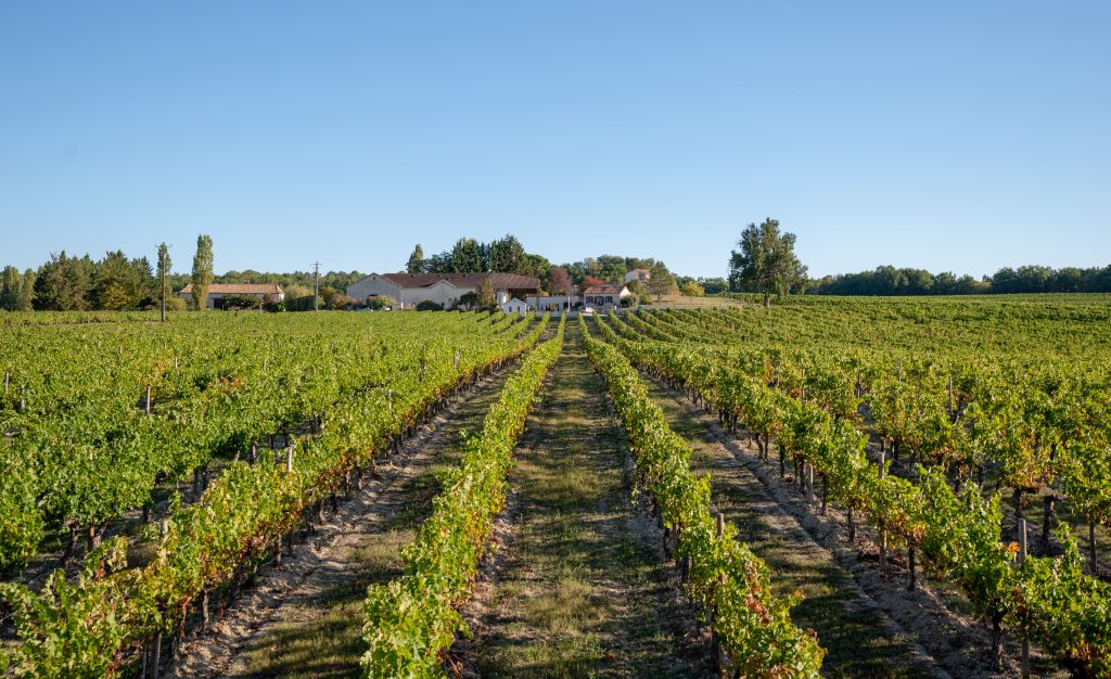 DOMAINE GRAND MAYNE - AGROECOLOGIE DOMAINE GRAND MAYNE - AGROECOLOGIE